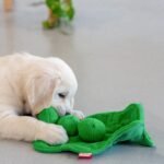 Pea Pod Snuffle Toy gallery